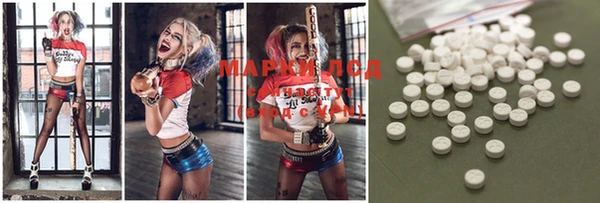 ECSTASY Белокуриха