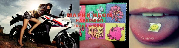 ECSTASY Белокуриха