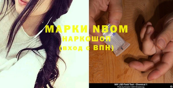 ECSTASY Белокуриха