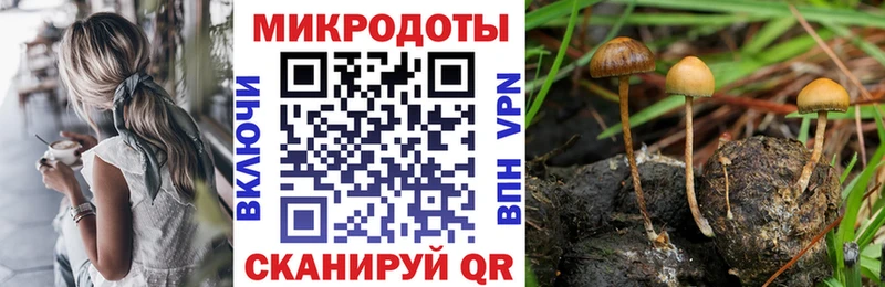 Галлюциногенные грибы GOLDEN TEACHER  Олёкминск 