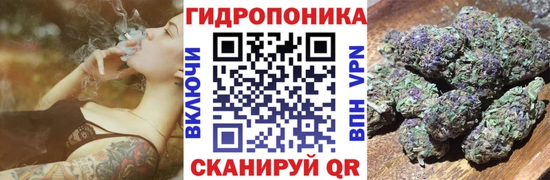 сайты даркнета наркотические препараты  купить наркоту  блэк спрут зеркало  Олёкминск  Бошки Шишки сатива 